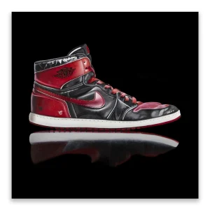 Erin Rothstein Art | Tableau "Sneaker" (3)