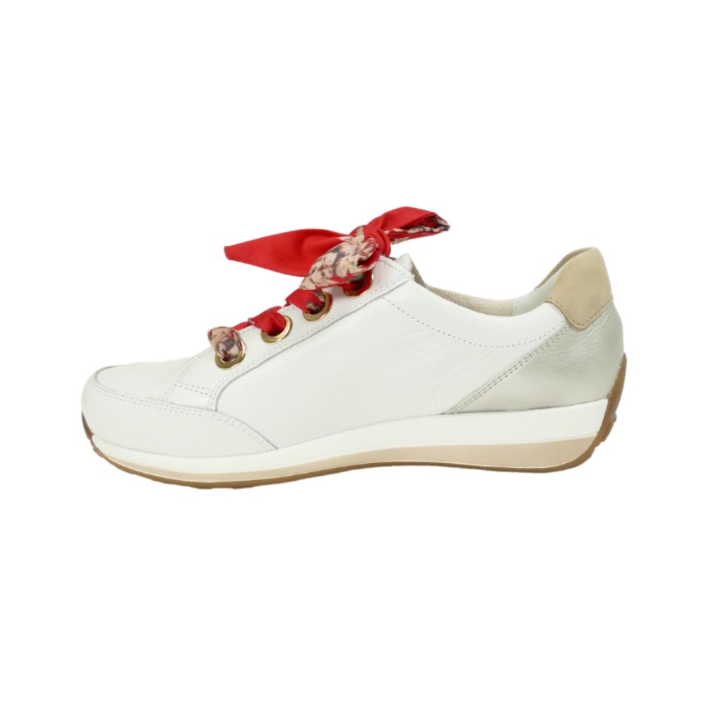 12-34587 ollie – Image 3