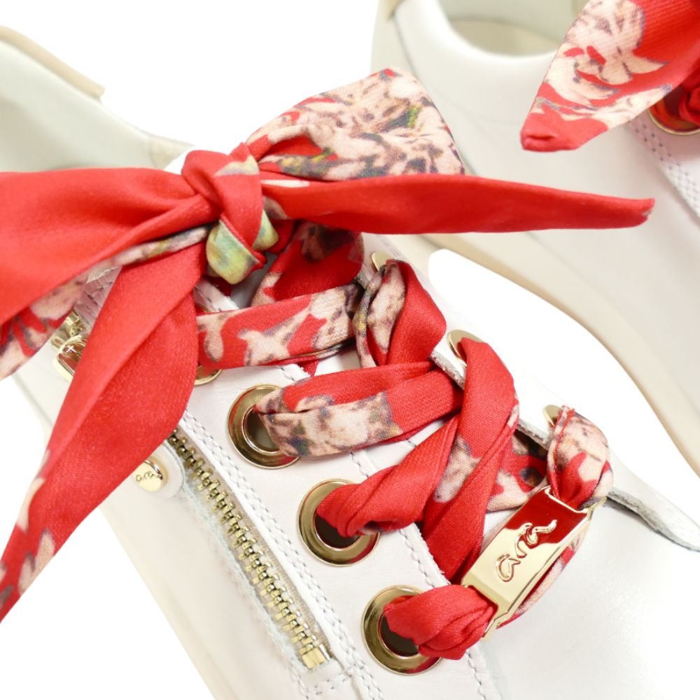 12-34587 ollie – Image 4