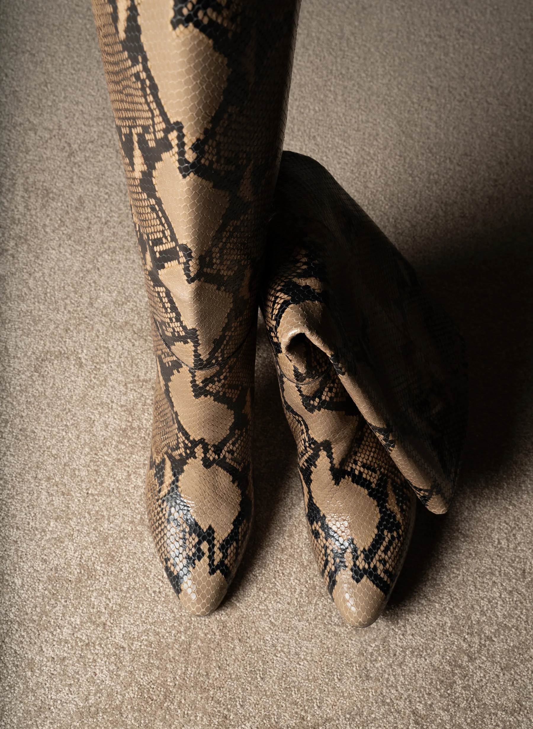 TERESA – Image 4