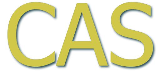 Élégance facile : chaussures cuir, derbies & tenues chic